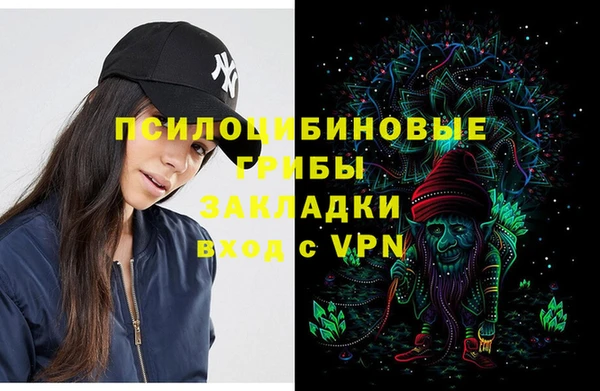 твердый Балахна